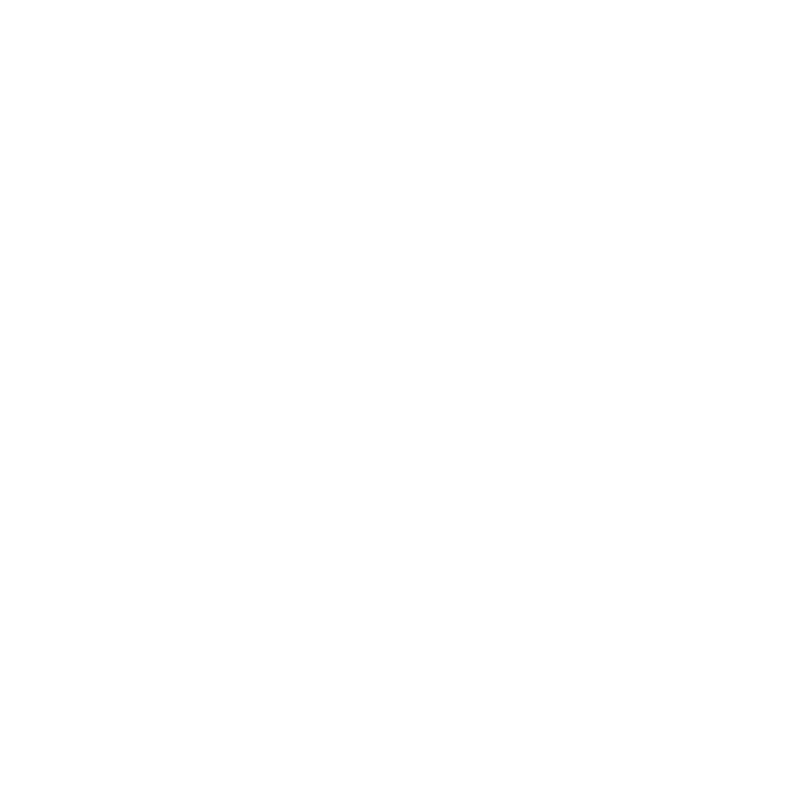 Скопин